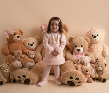 Load image into Gallery viewer, GOLDIE pink teddy fur Dress